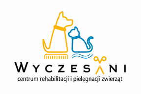 Wyczesani SPA Katowice