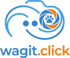 Wagit (Paweł)