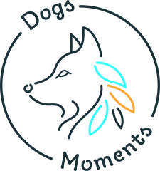DogsMoments (Kasia)